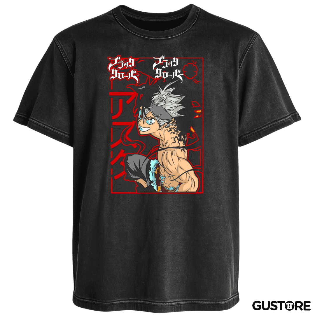 Polera desgastada Asta