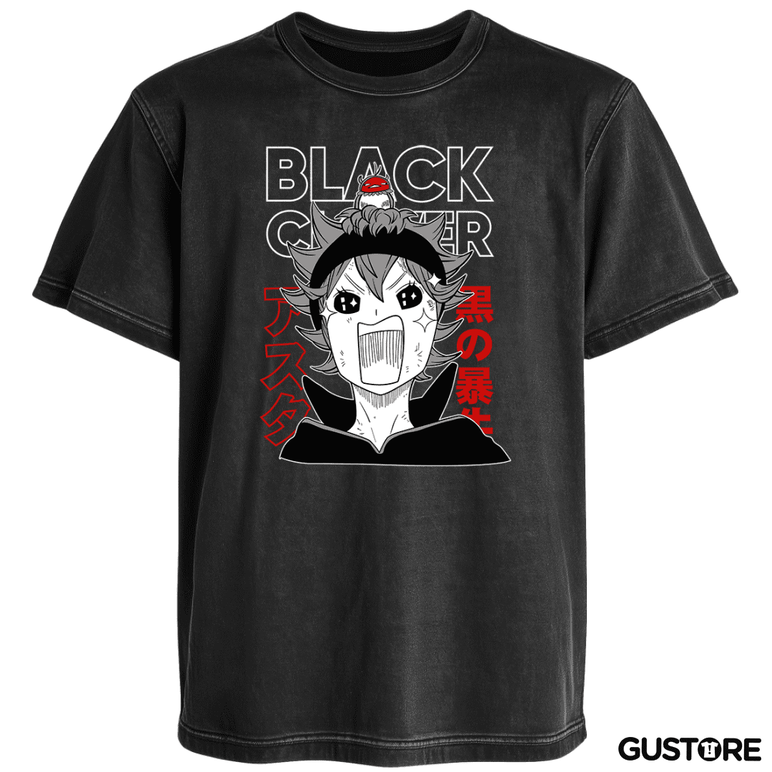 Polera desgastada Asta 2