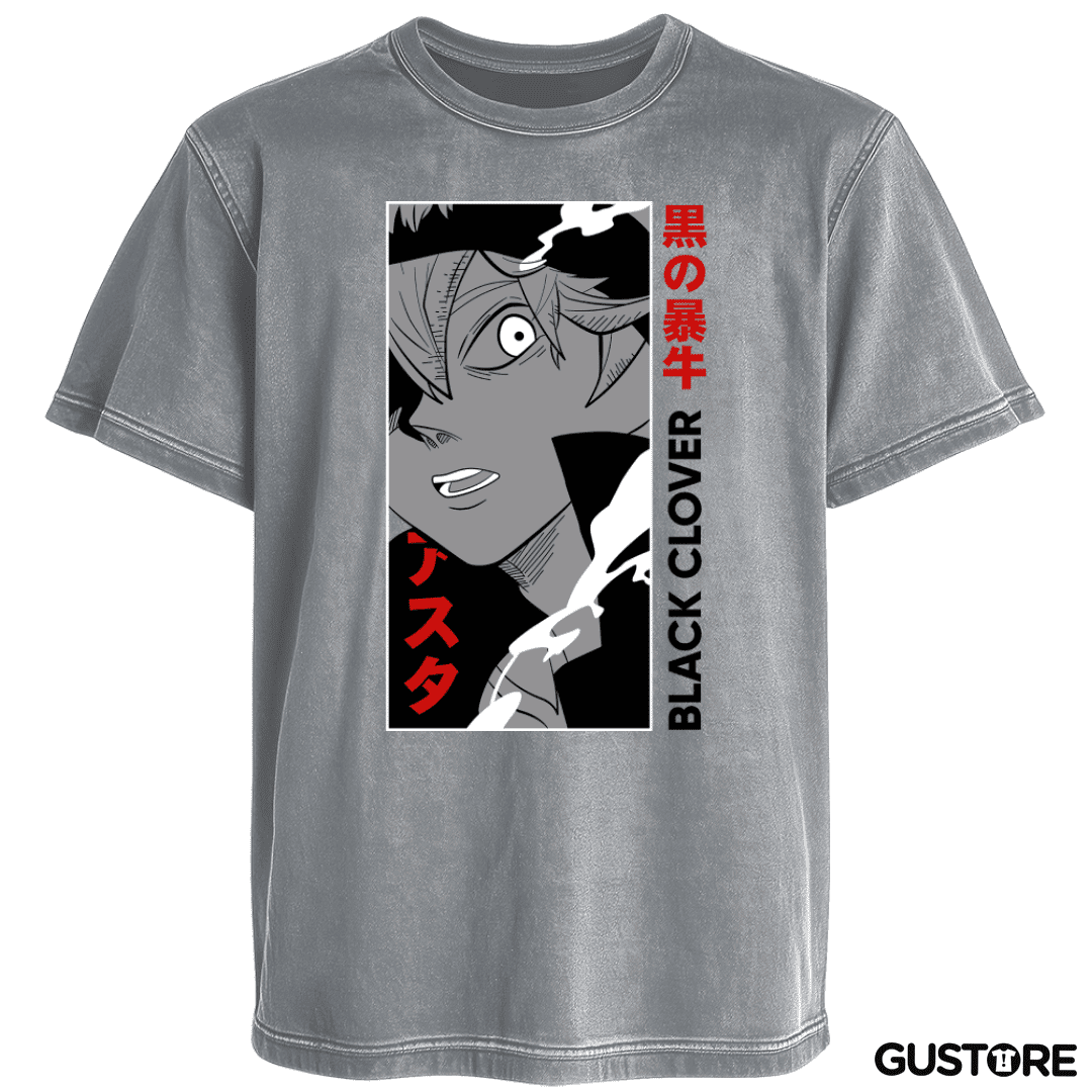 Polera desgastada Asta 3