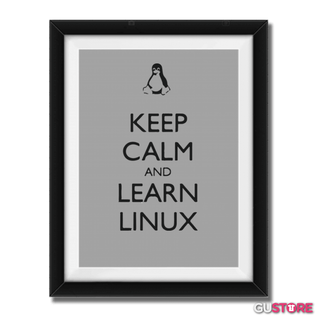 Cuadro decorativo Keep calm linux