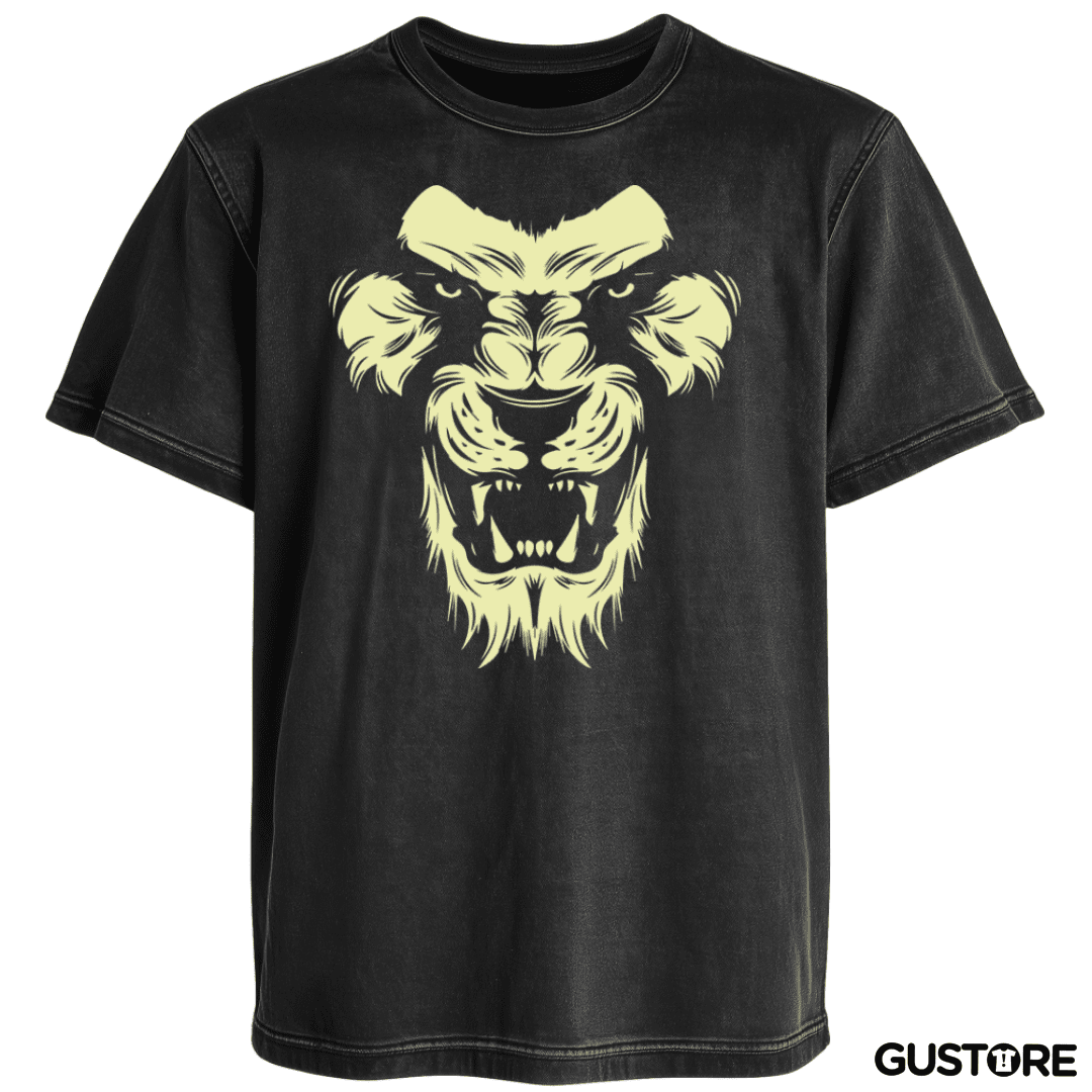 Polera desgastada Leon