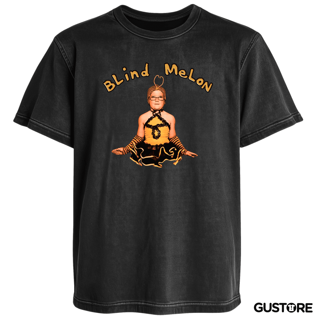 Polera desgastada Blind Melon