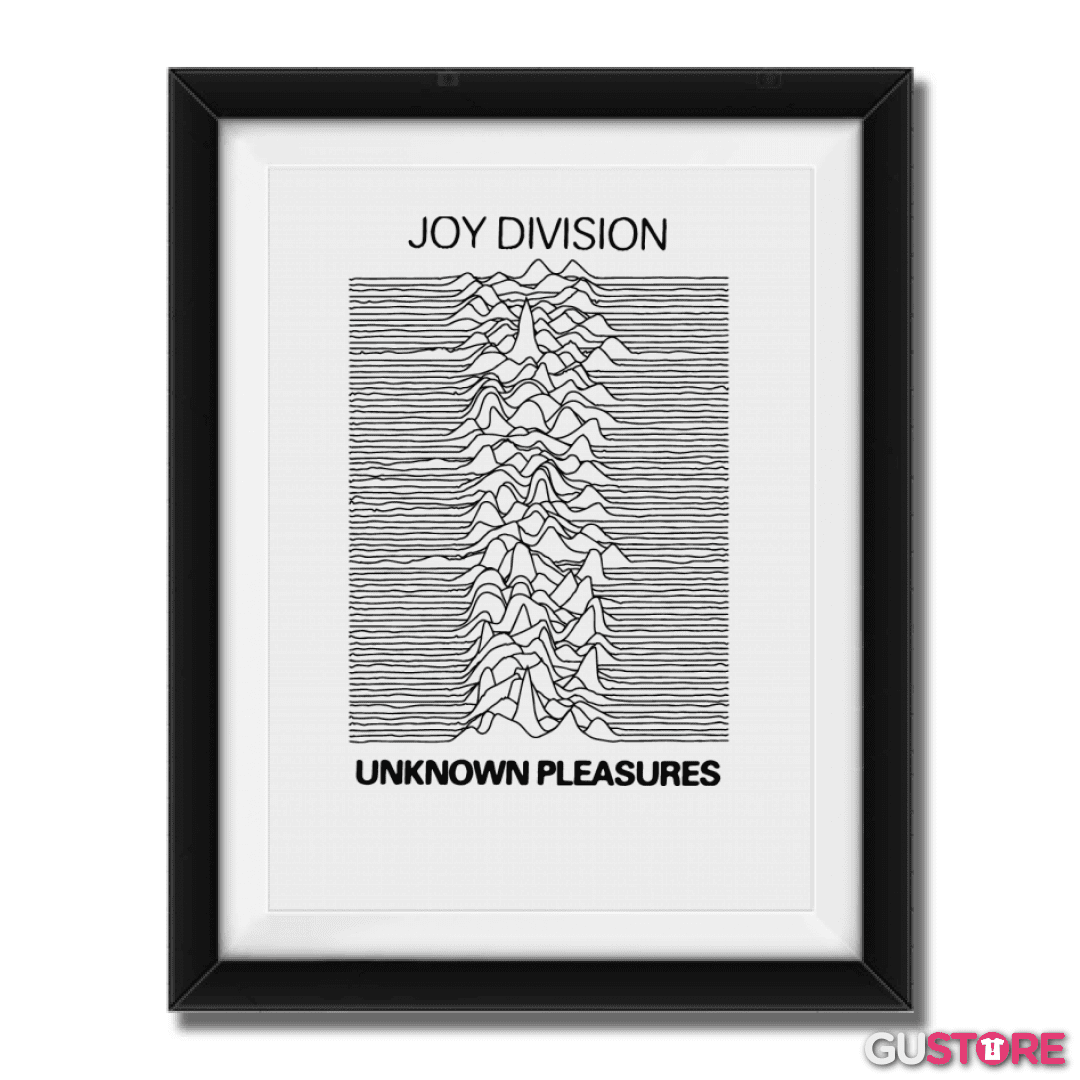 Cuadro decorativo Joy Division
