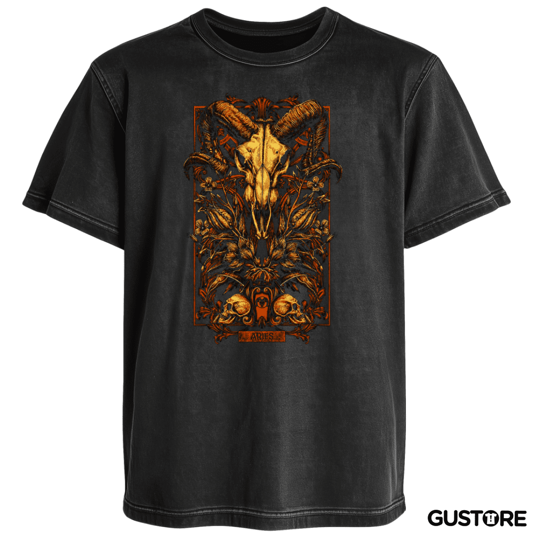 Polera desgastada Aries