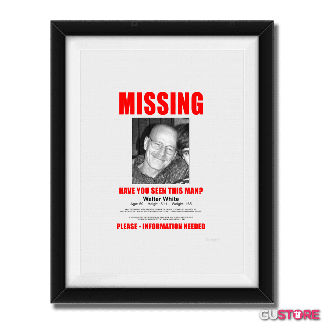 Cuadro decorativo Missing