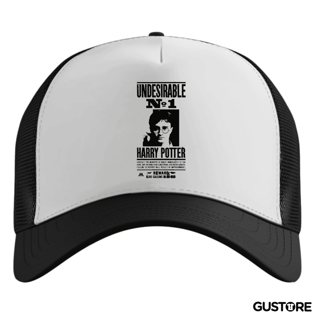 Gorro Harry potter wanted