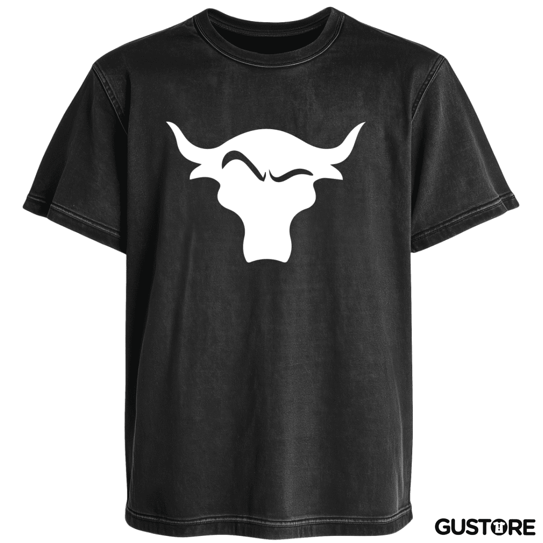 Polera desgastada The rock