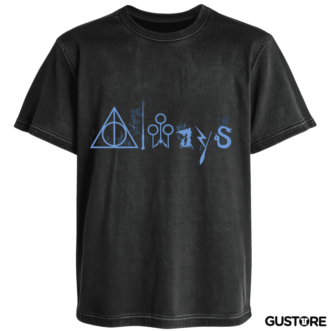 Polera desgastada harry potter full color
