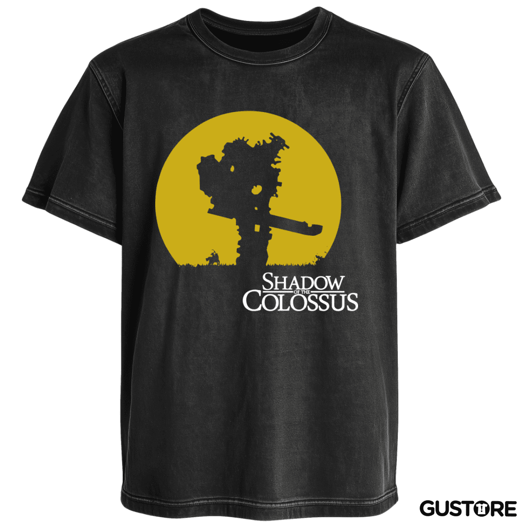 Polera desgastada Shadow of the Colossus