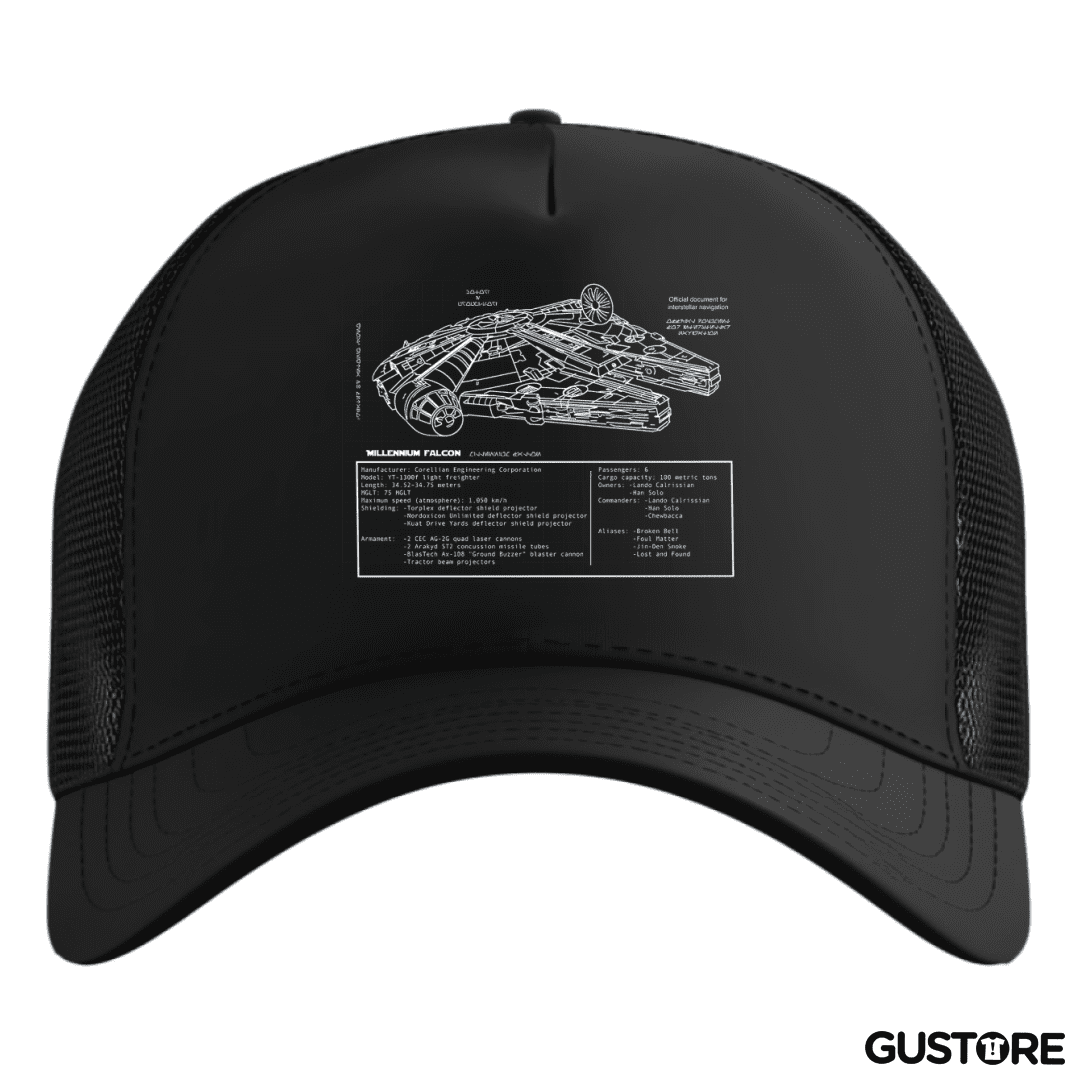 Gorro Halcón milenario 2