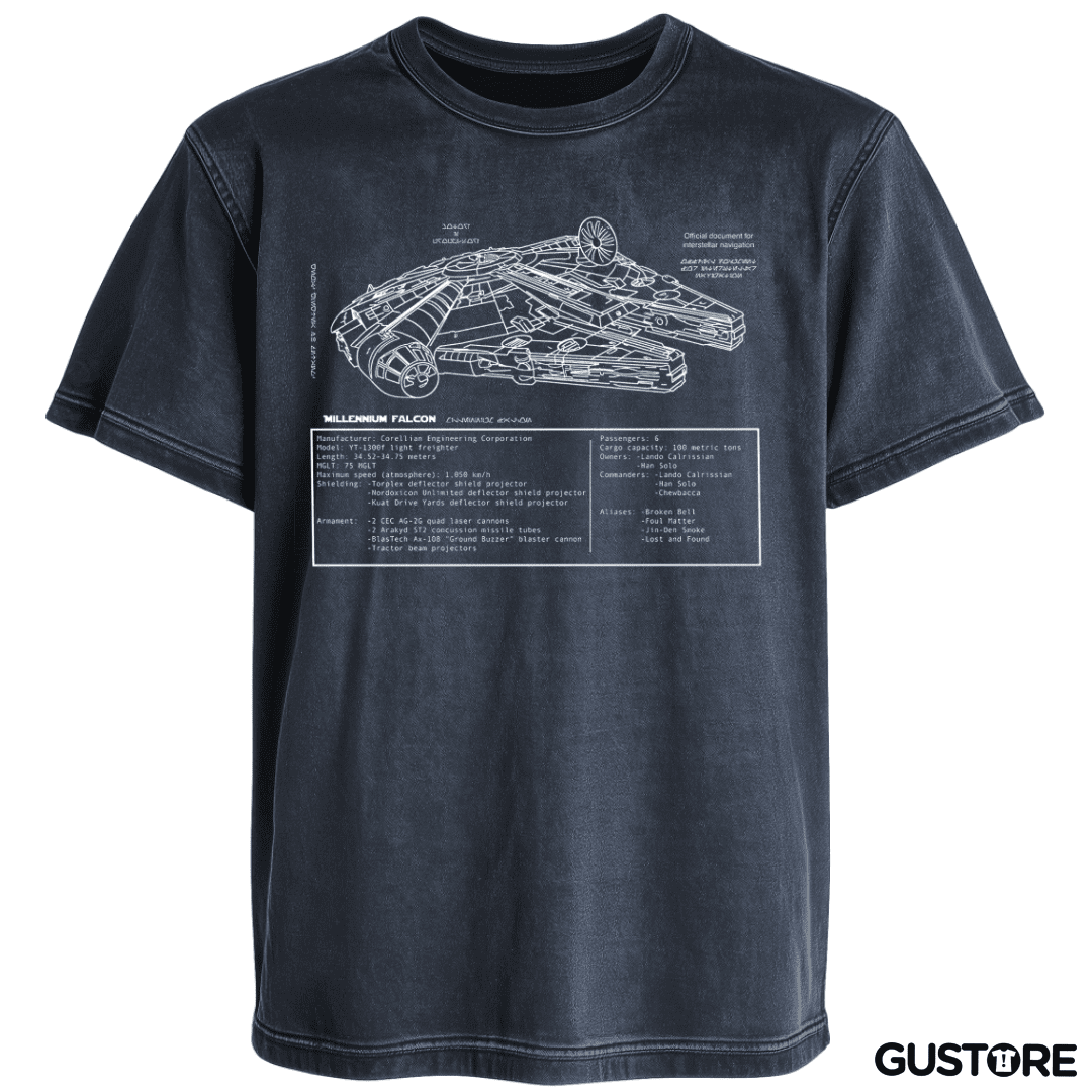 Polera desgastada Halcón milenario 2