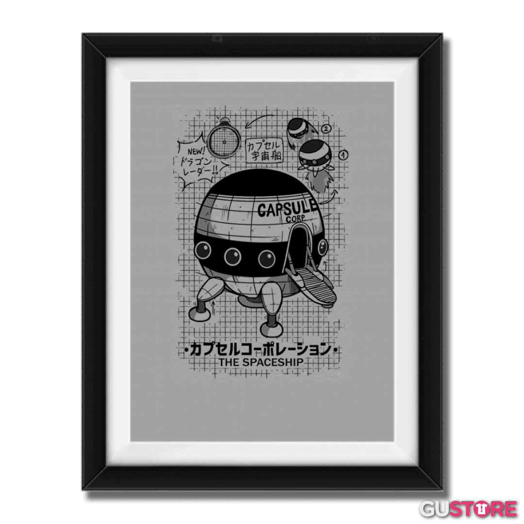 Cuadro decorativo Nave espacial capsule