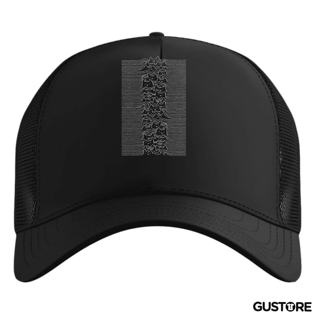 Gorro cat division