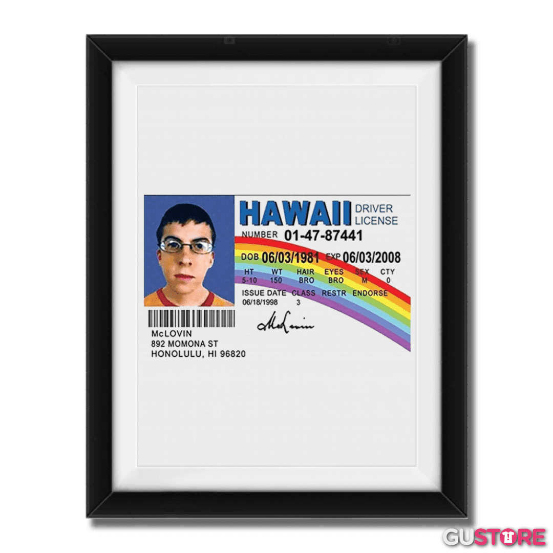 Cuadro decorativo McLovin