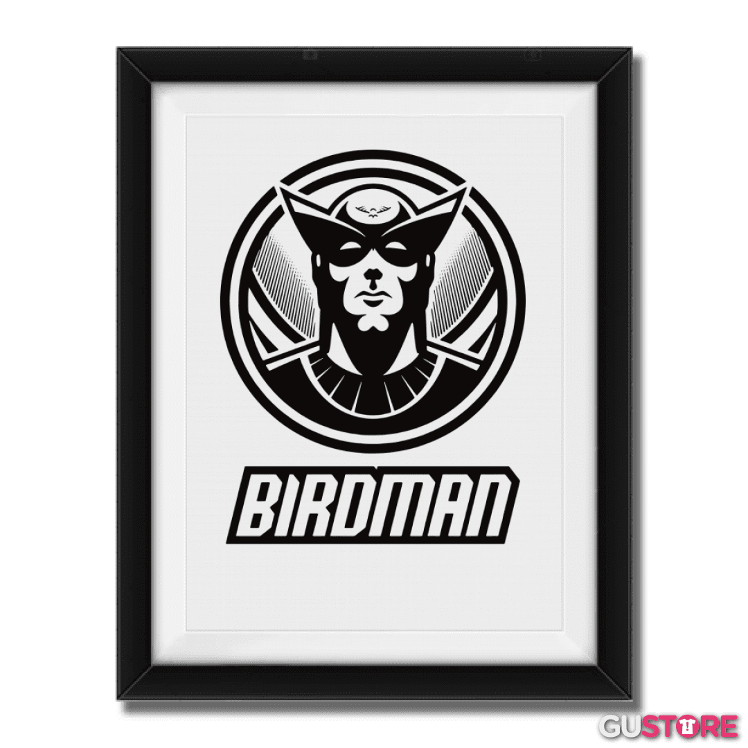 Cuadro decorativo Birdman
