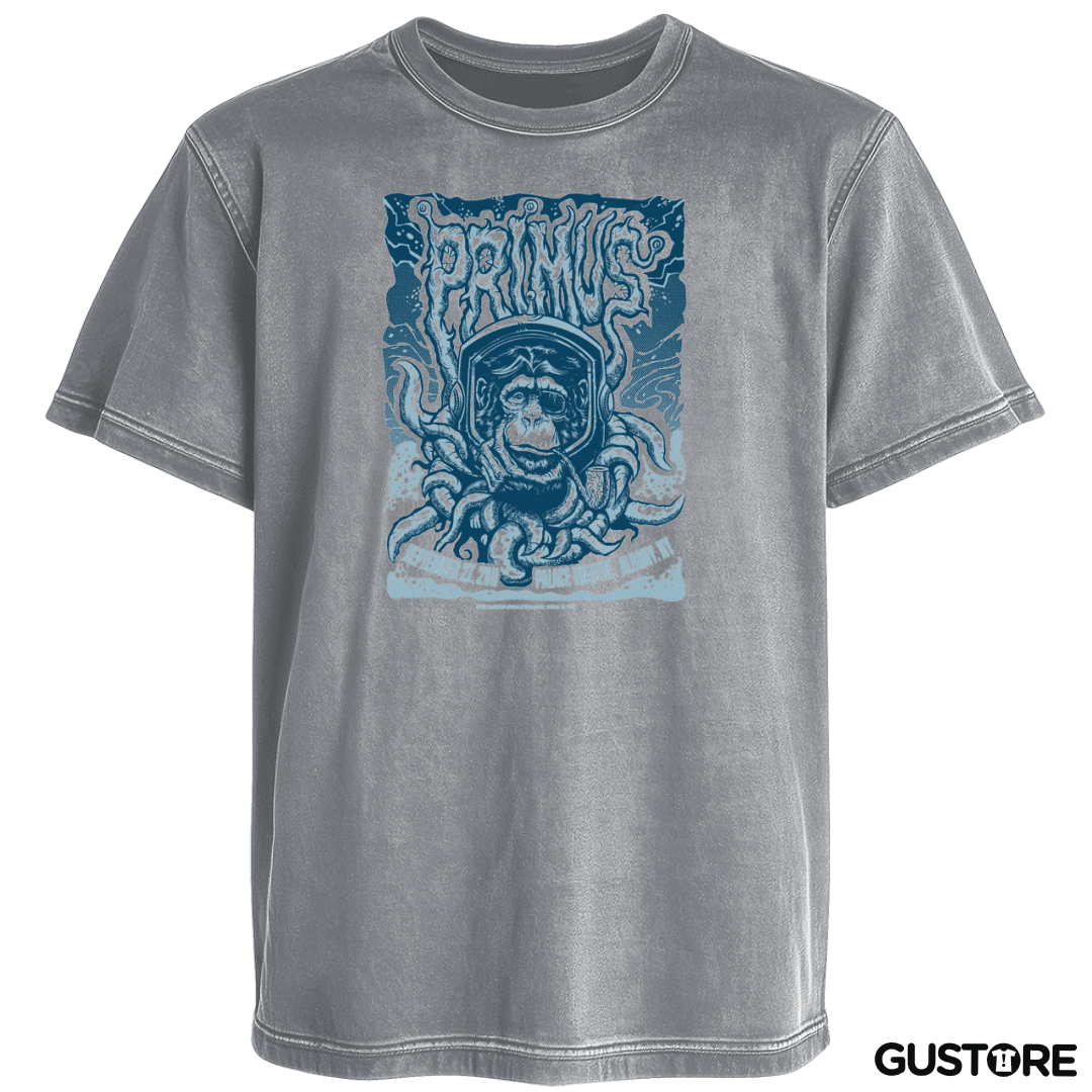 Polera desgastada Primus 1 