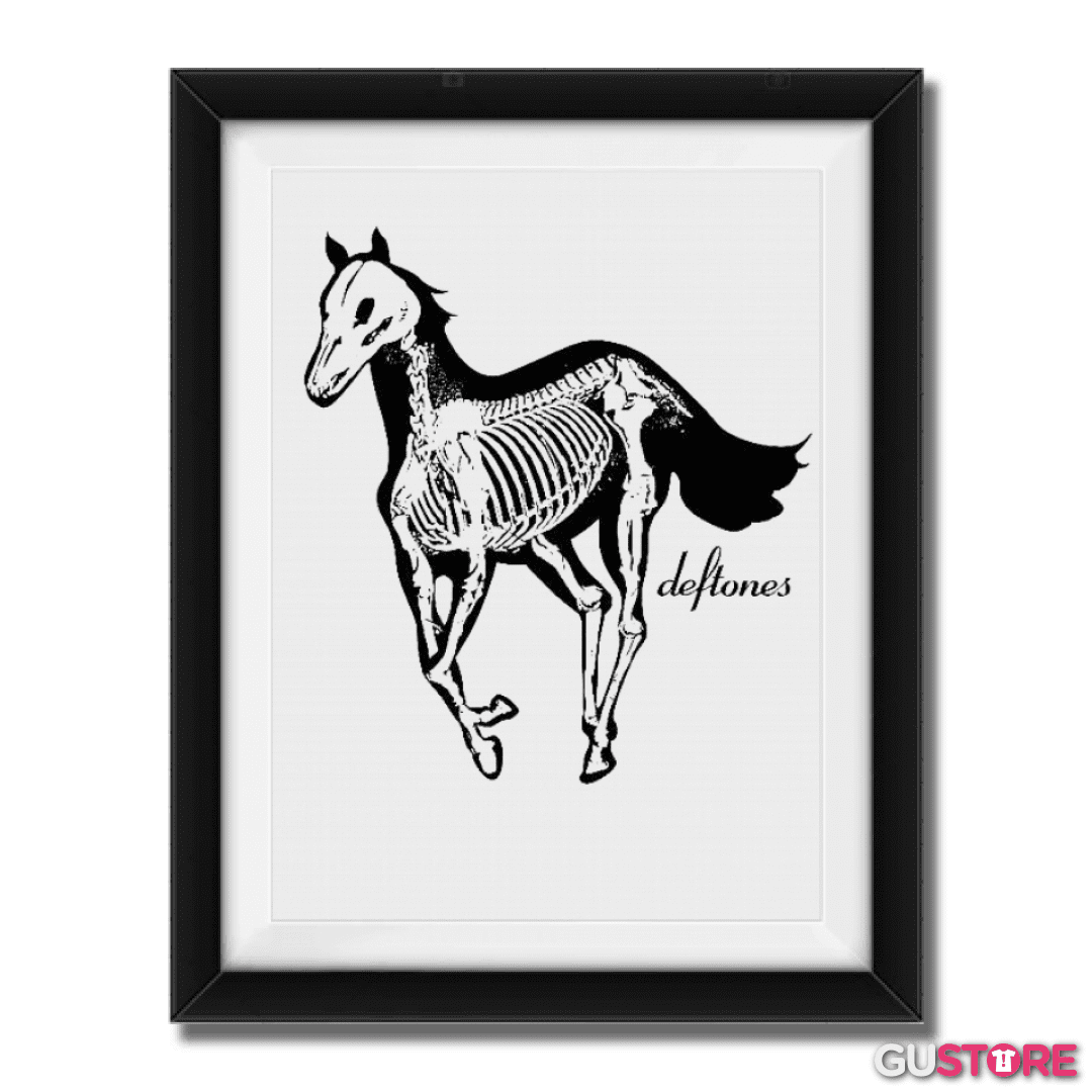 Cuadro decorativo Deftones pony