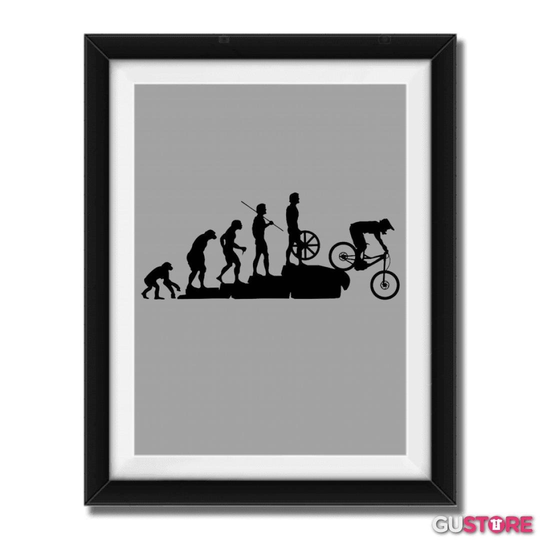 Cuadro decorativo EVOLUTION BIKE 