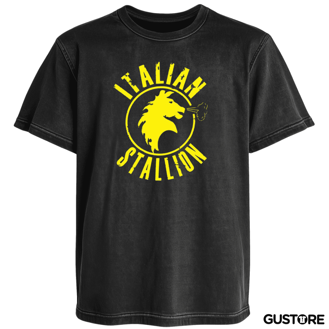 Polera desgastada Rocky Italian stallion