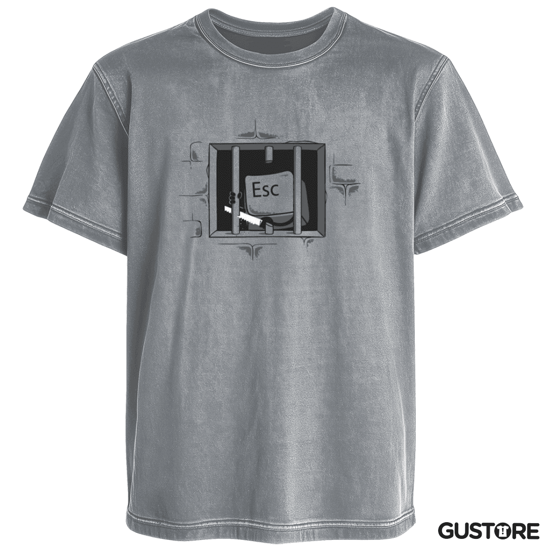 Polera desgastada Esc 2 