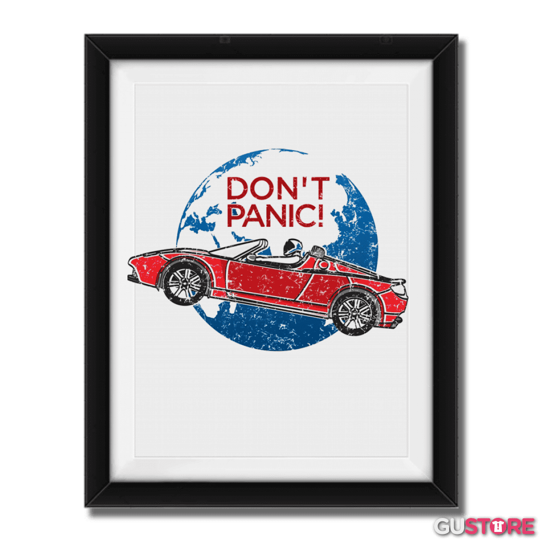 Cuadro decorativo Dont Panic 