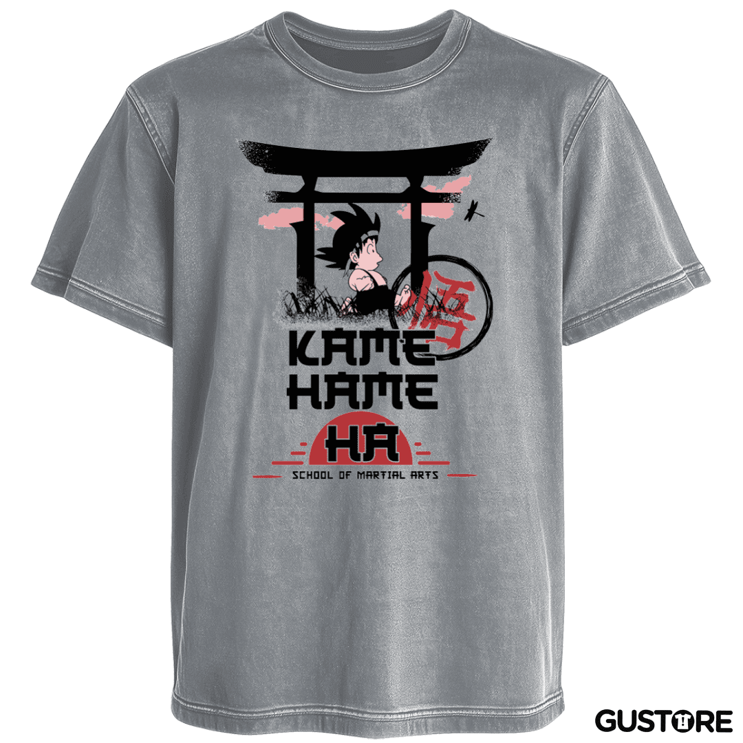Polera desgastada Escuela de artes marciales