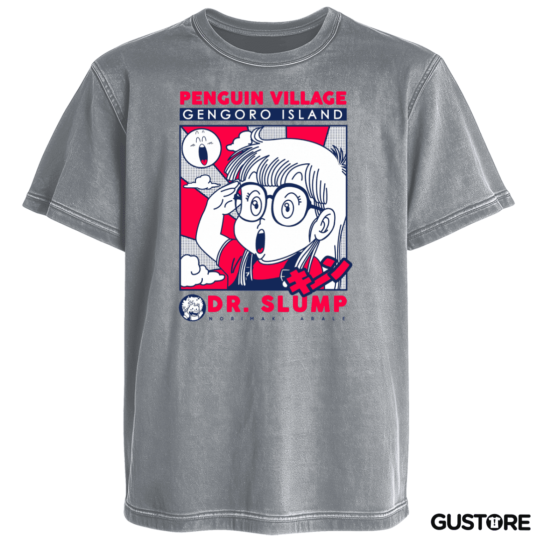 Polera desgastada Villa Pinguino