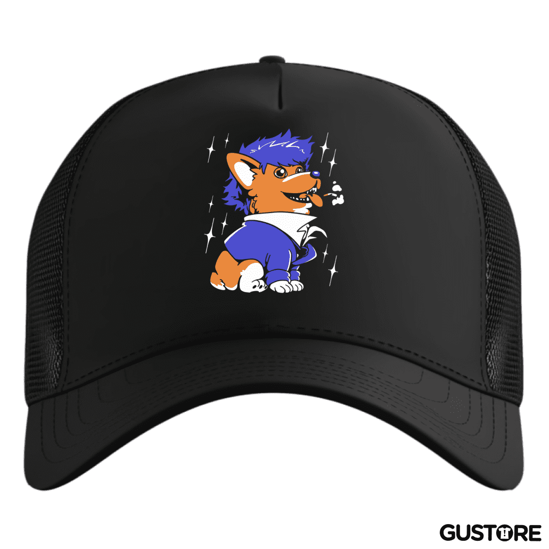 Gorro Space Corgiboy
