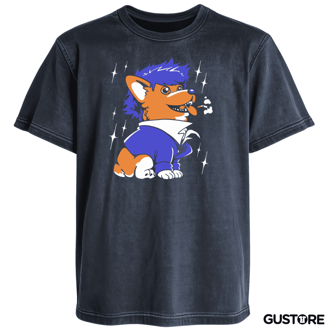 Polera desgastada Space Corgiboy