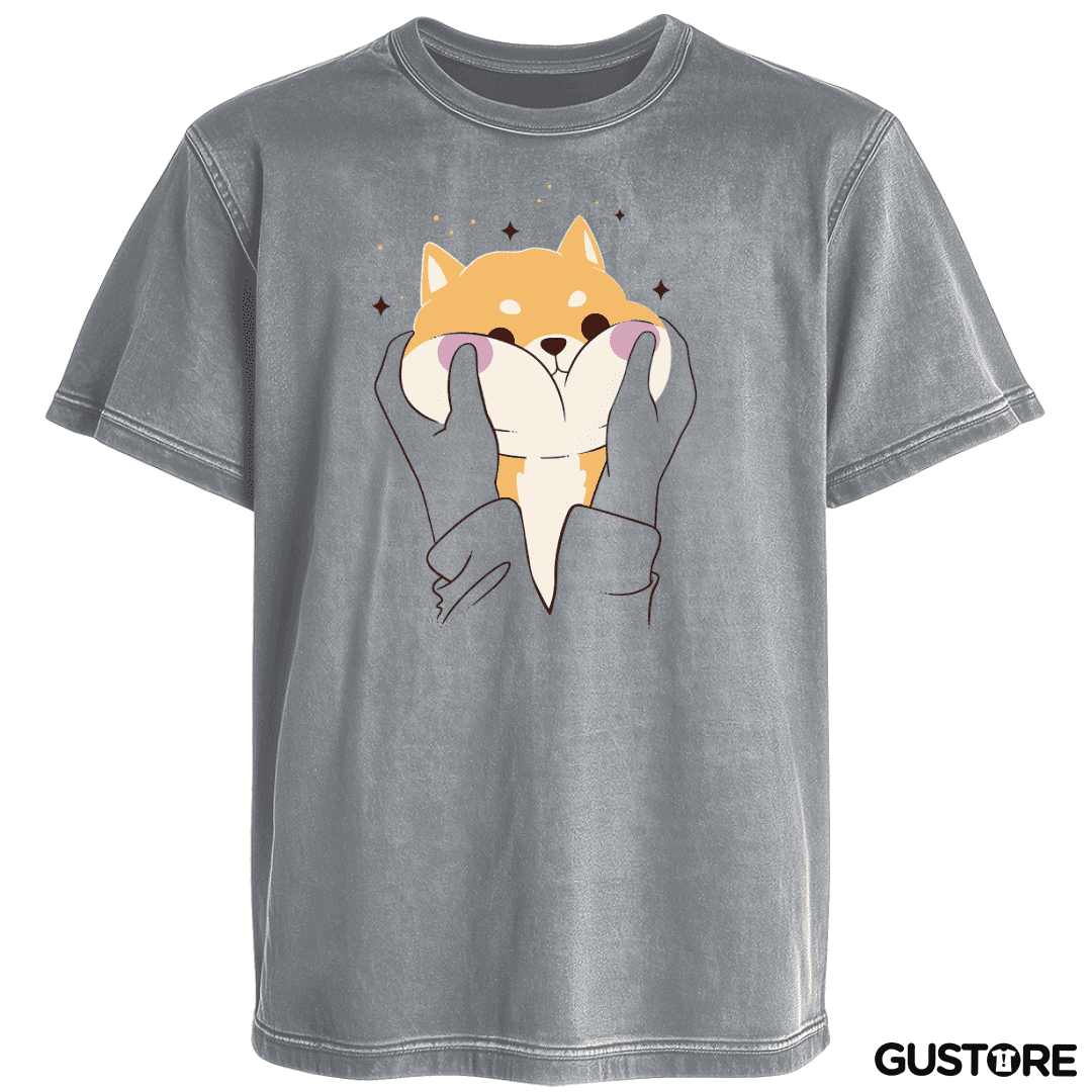 Polera desgastada Regalón