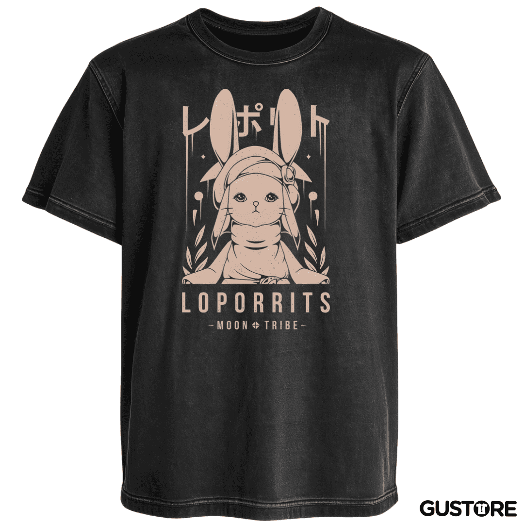 Polera desgastada Loporrits