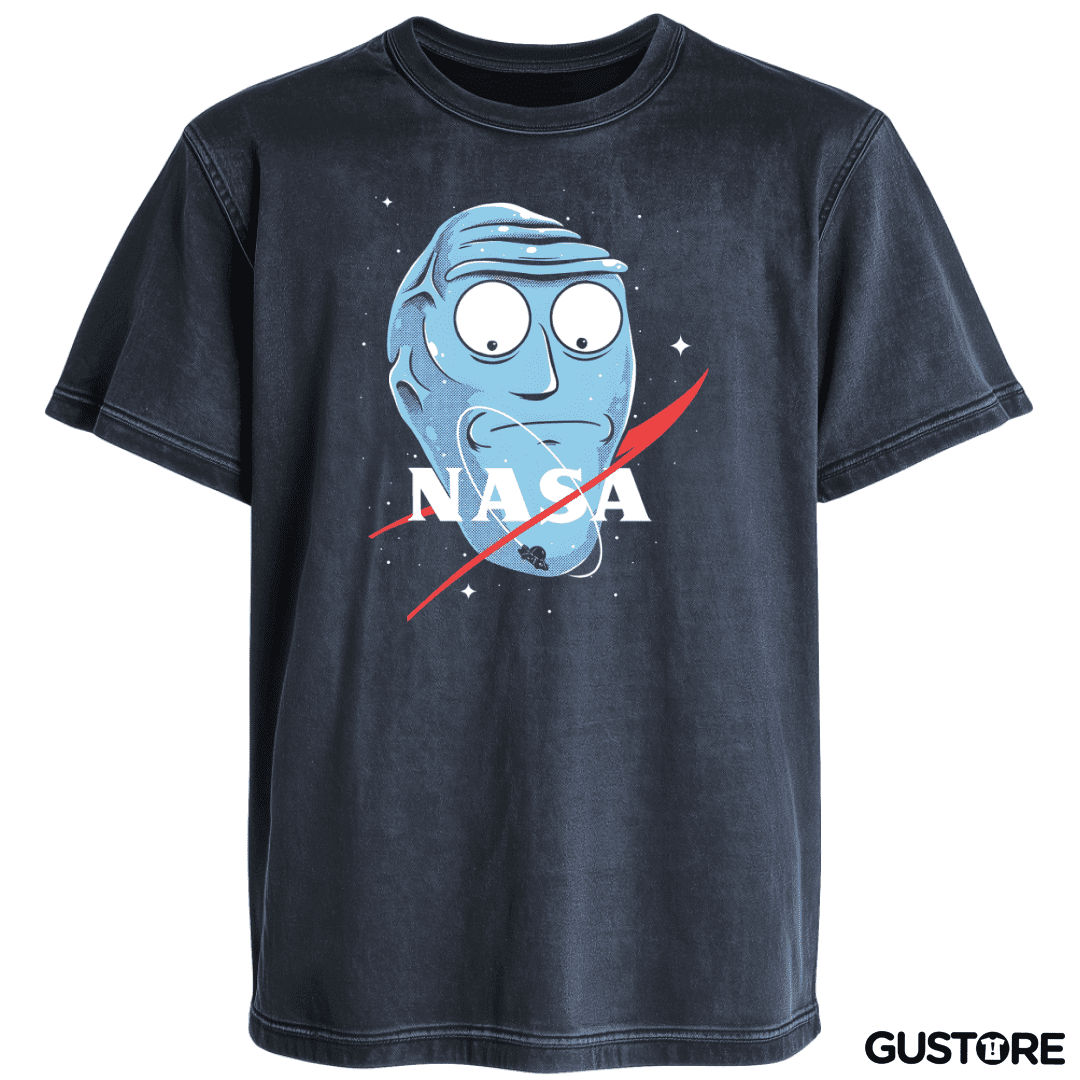 Polera desgastada Rick NASAnchez