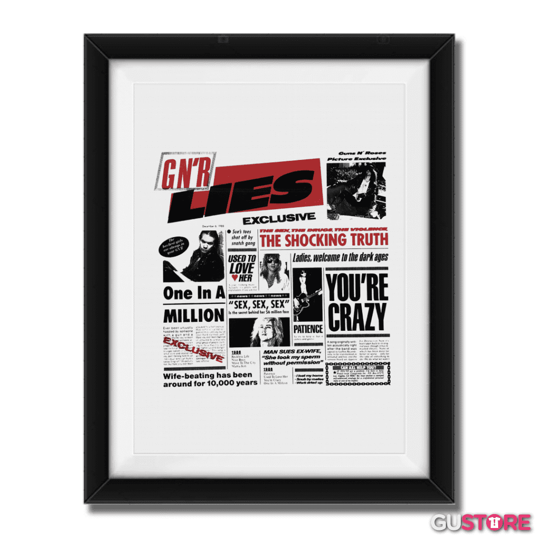 Cuadro decorativo Guns n Roses LIes 