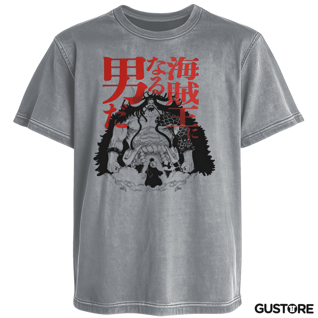 Polera desgastada Kaido vs Luffy