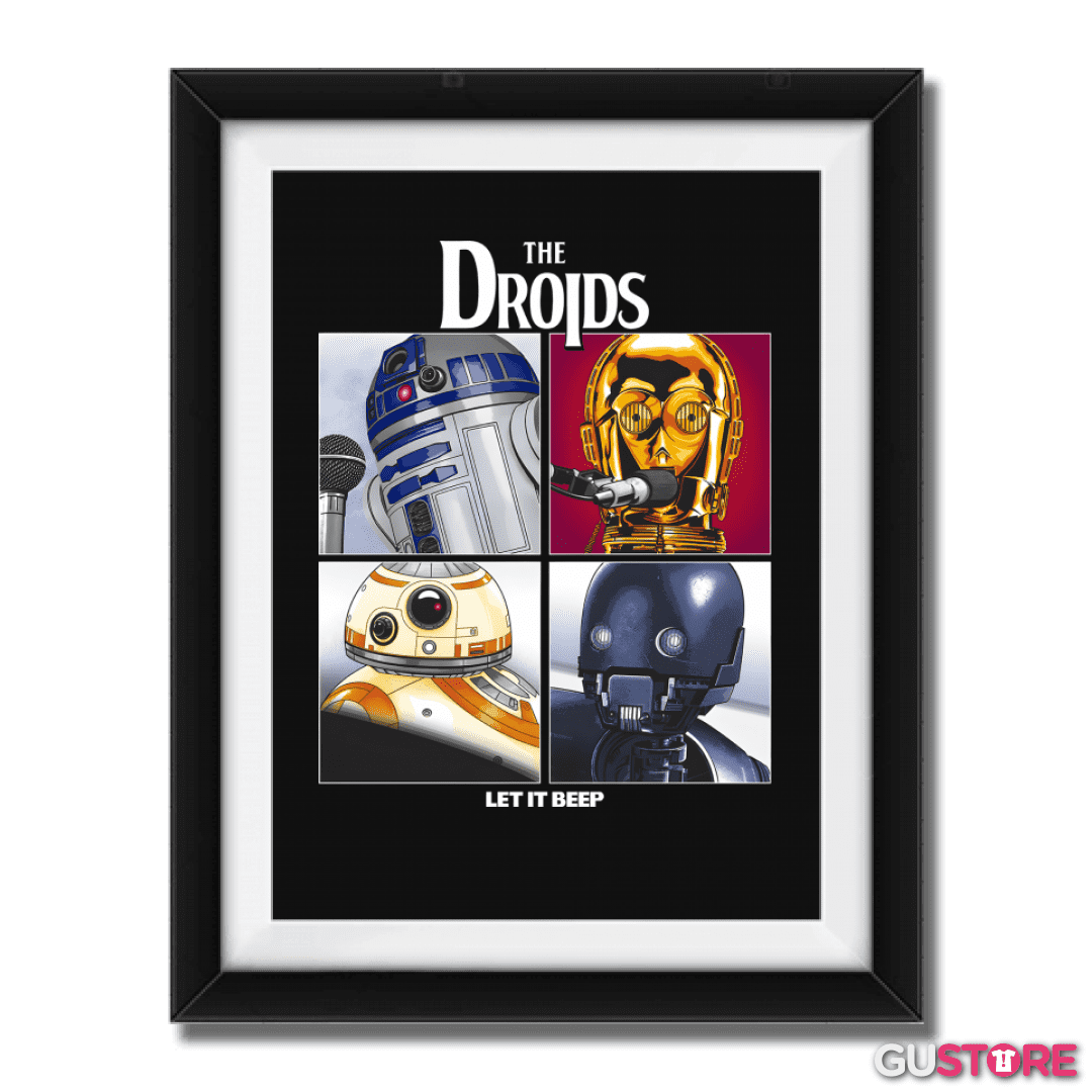 Cuadro decorativo The Droids II