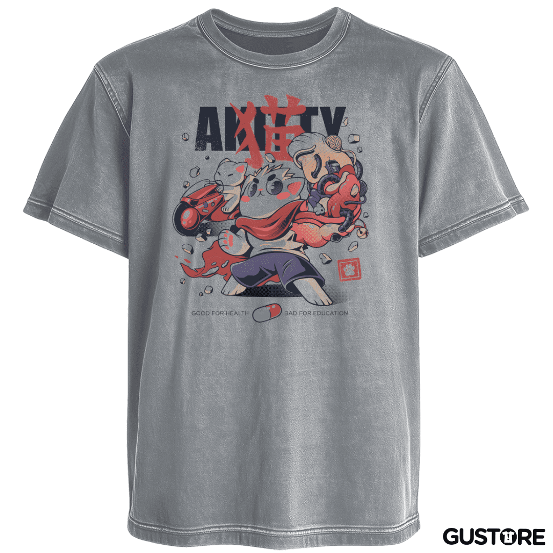 Polera desgastada Akitty