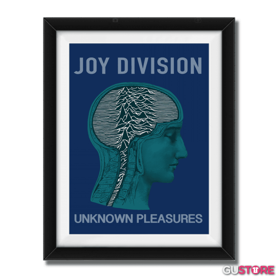 Cuadro decorativo Joy Division unknown pleasures