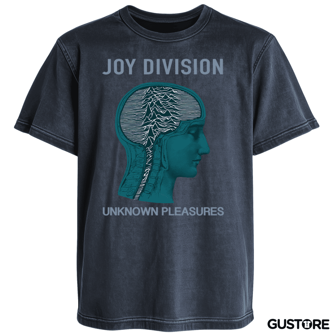 Polera desgastada Joy Division unknown pleasures