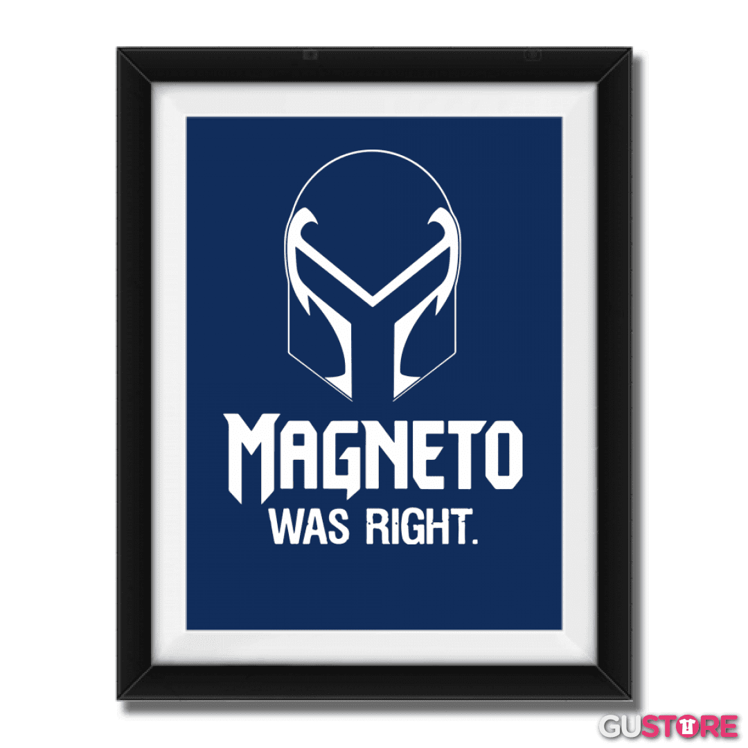 Cuadro decorativo Magneto was Right