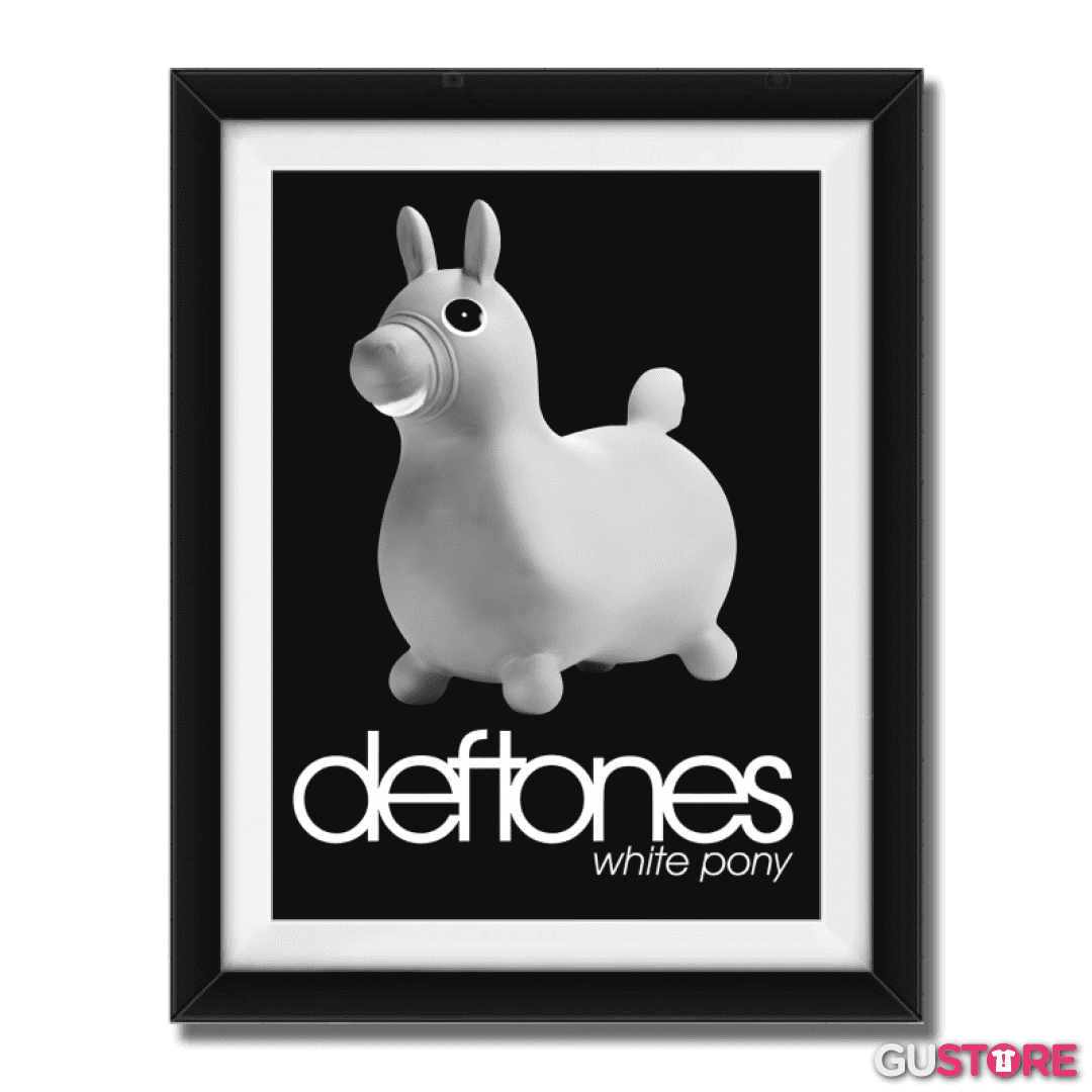 Cuadro decorativo White Pony