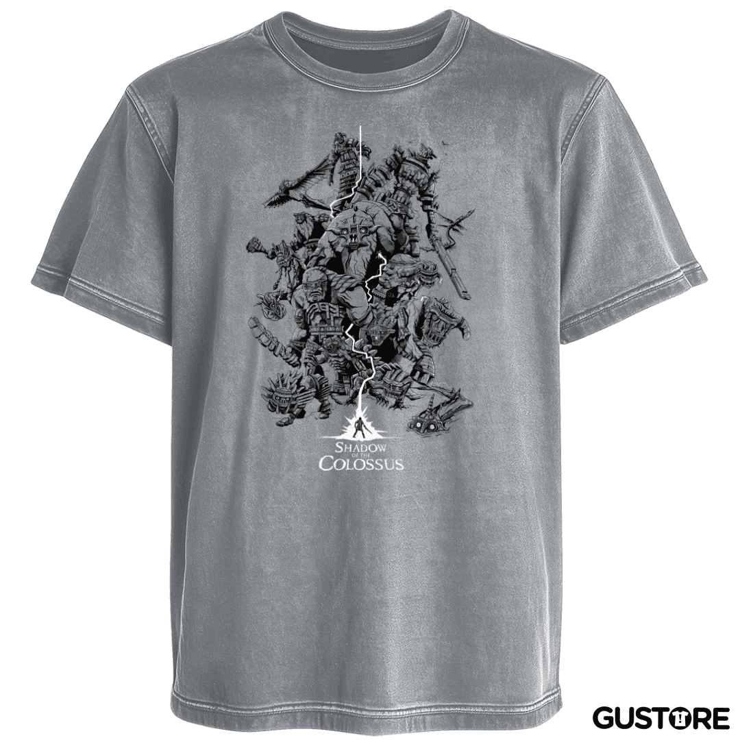 Polera desgastada Shadow of the Colossus