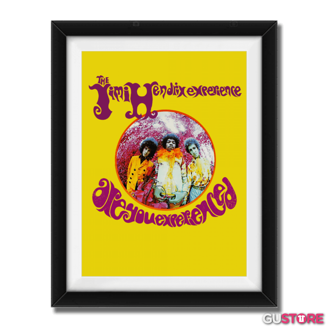 Cuadro decorativo Are You Experienced