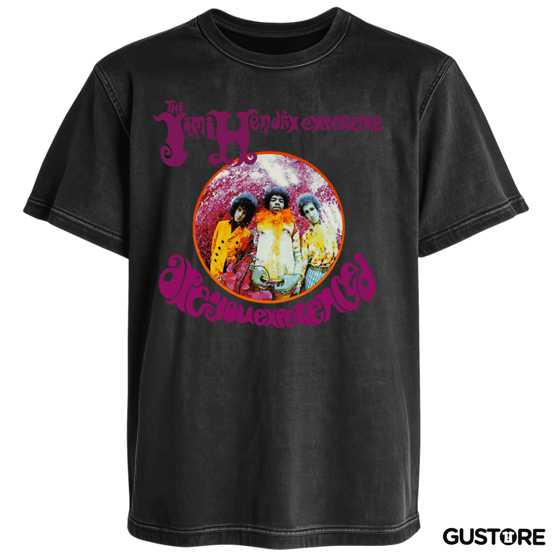 Polera desgastada Are You Experienced