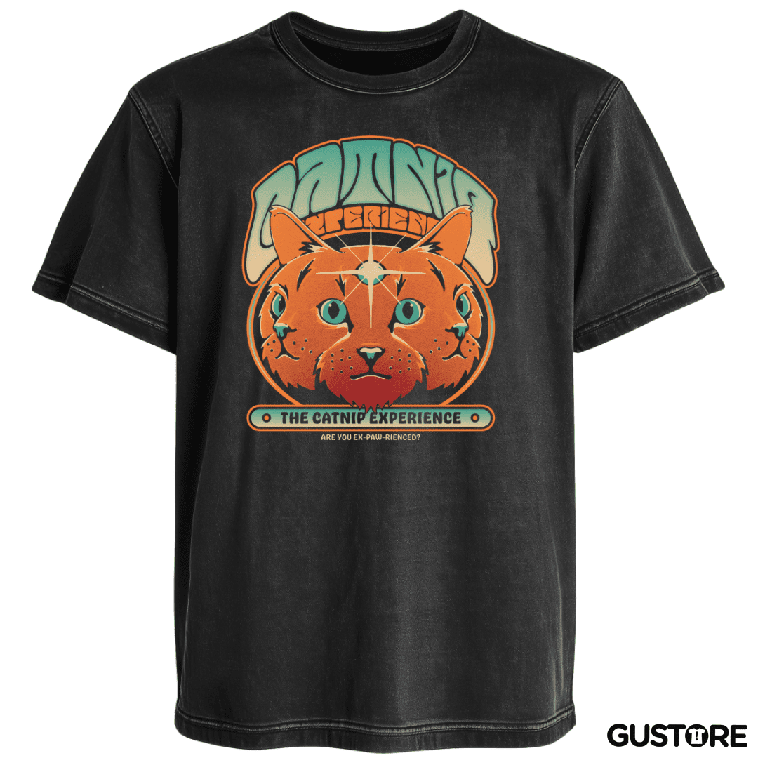 Polera desgastada The Catnip experience