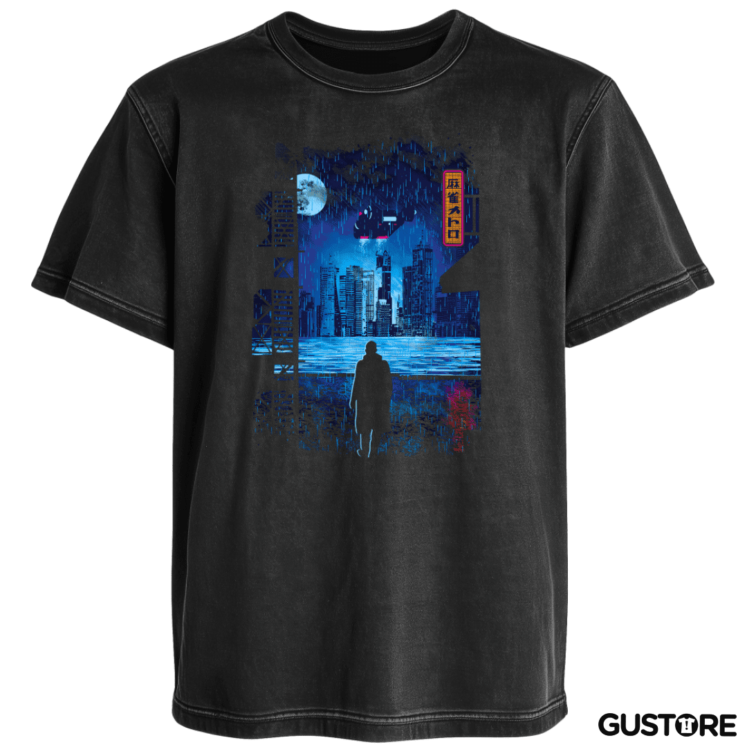 Polera desgastada 2049