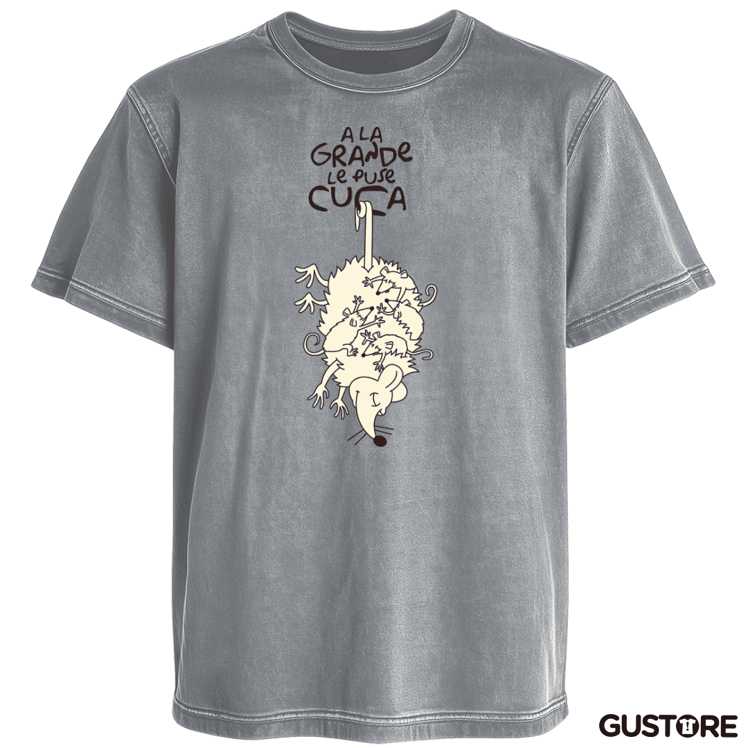 Polera desgastada Cuca