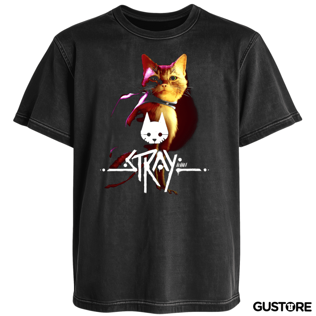 Polera desgastada Stray