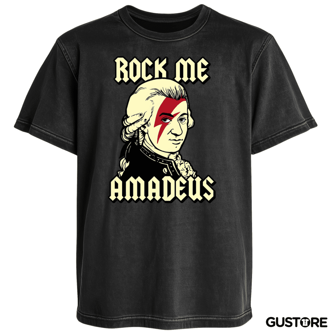 Polera desgastada Amadeus
