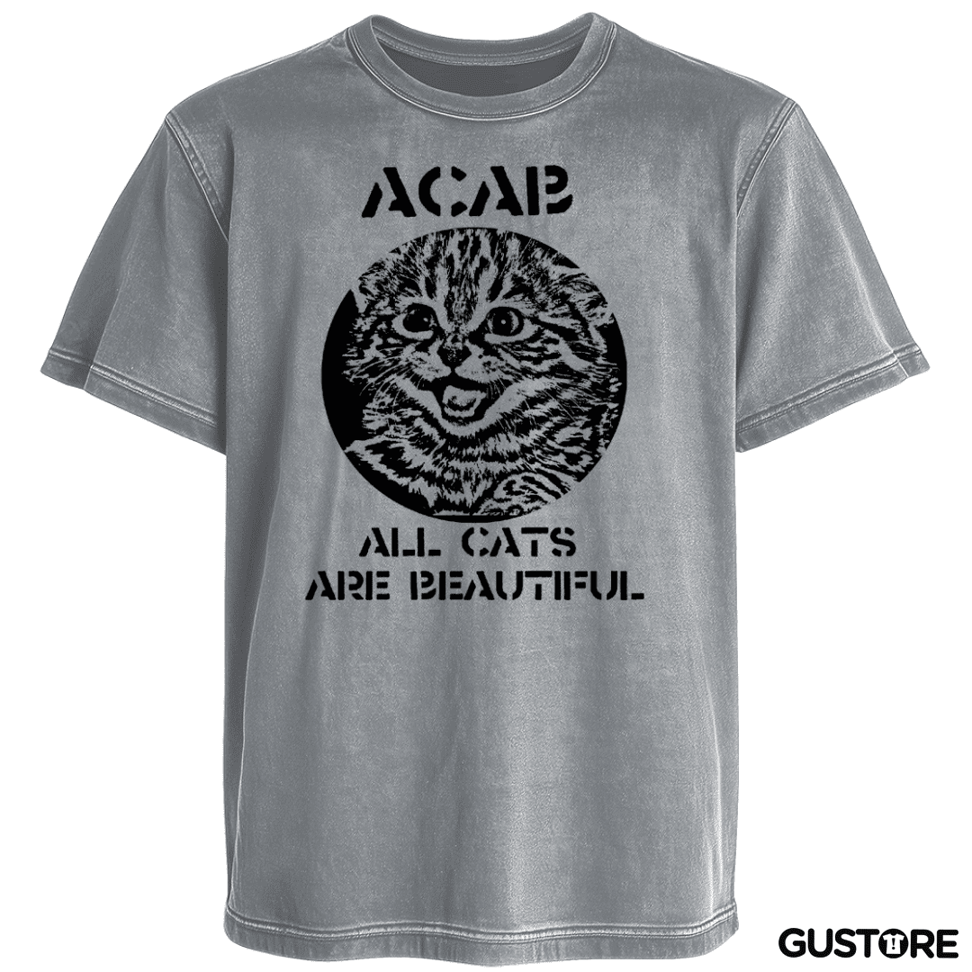 Polera desgastada All Cat Are Beautiful