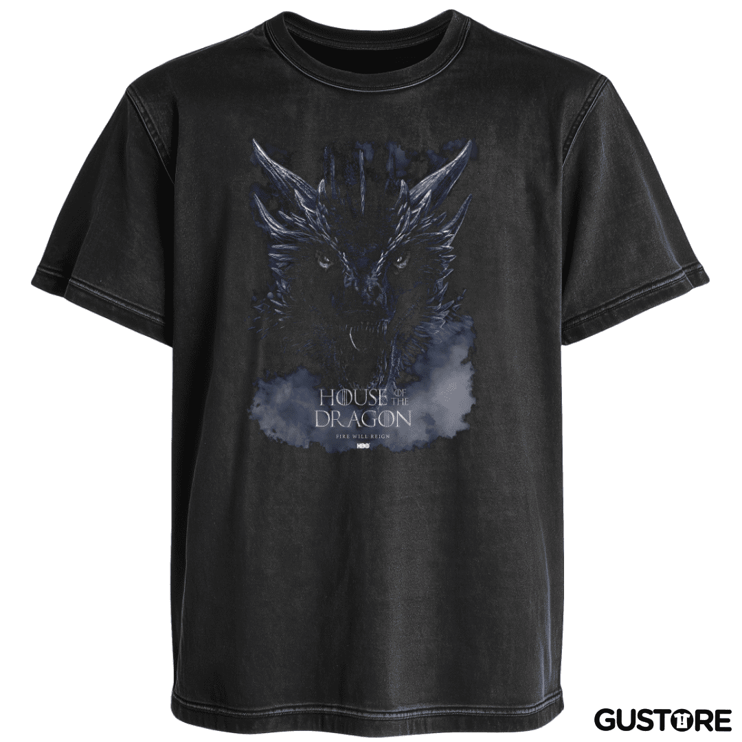 Polera desgastada Balerion